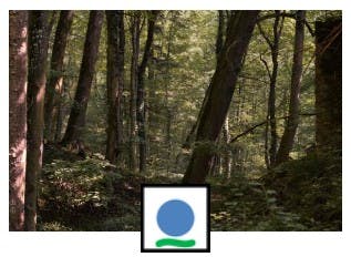 Bild Wanderweg